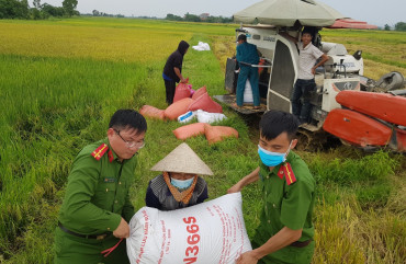 Công an phường Nam Hồng giúp dân thu hoạch lúa chạy giông lốc