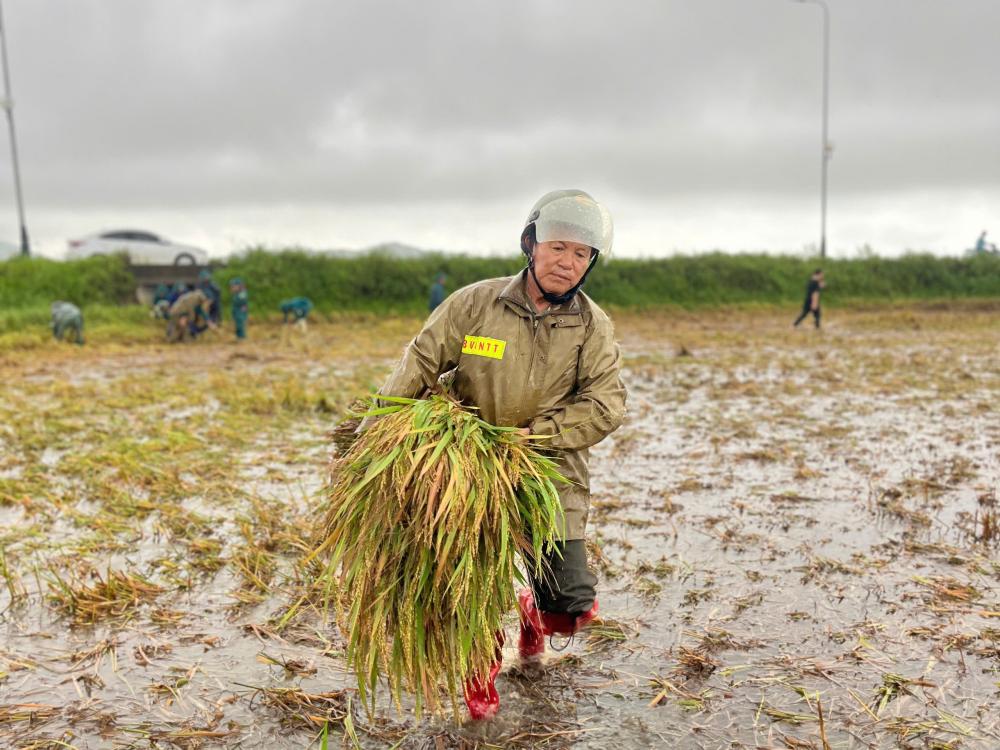 6aaa004087a7d.jpg