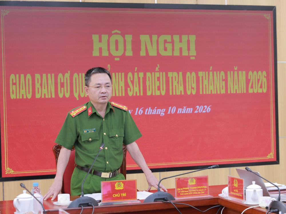 6ad1f13d4c638.jpg
